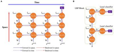 Efficient training of spiking neural networks with temporally-truncated local backpropagation through time